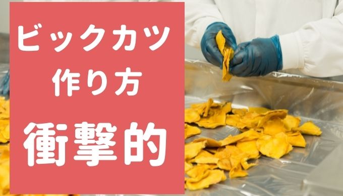 すぐるのビッグカツのたれの作り方が衝撃的! これぞ日本の駄菓子!